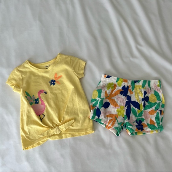 Toddler 2-Piece Flamingo Tee & Short Set - Picture 4 of 14